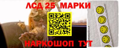 крисы Славгород