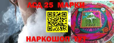 крисы Славгород