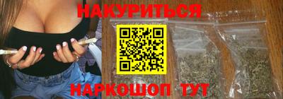 крисы Славгород