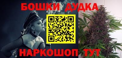 крисы Славгород