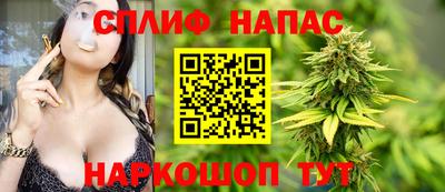 крисы Славгород