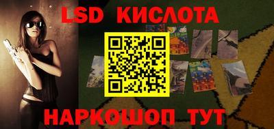 крисы Славгород