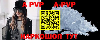 крисы Славгород