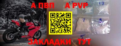 крисы Славгород